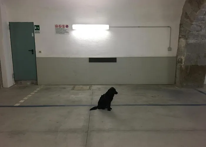 Casacuadra Cavana Apartment *